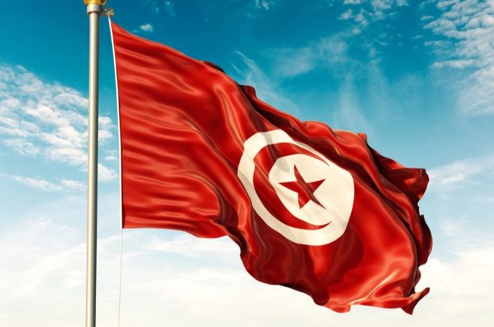 قرطاج يتألق مجددًا في دورته الـ59.. عودة كبار النجوم وتكريم لفلسطين 1 617