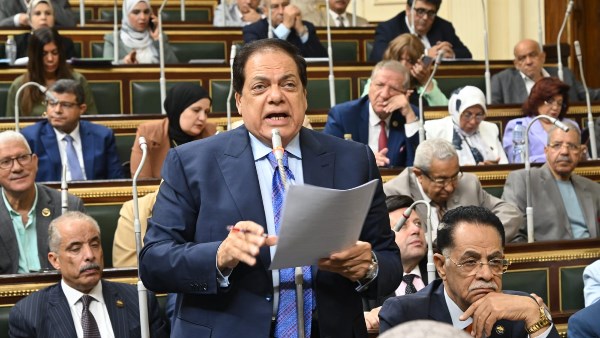 يجب تعزيز القيمة المضافة..وكيل النواب: مصر بها 39 خاما من الثروة المعدنية 1 6618024348820250707120126126