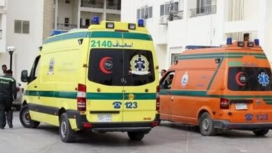 مصرع شخص وإصابة 7 أجانب في حادث بطريق القصير 5 580700621306202507030233483348