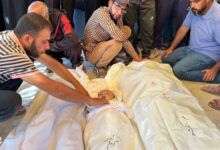 7691773856806202507020945344534