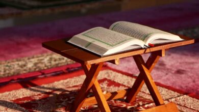 سر الجمع بين كون القرآن هدى للمتقين وللناس.. عالم أزهري يوضح 6 1757852414 940