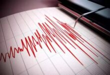 1758383306 elaosboa07352