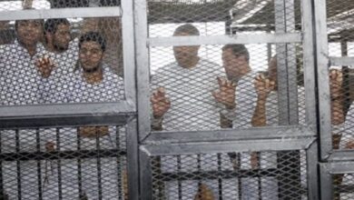 1758778951 elaosboa87502