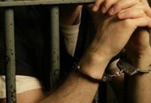 1758827305 elaosboa04526