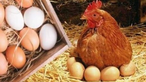 580700621306202502051251355135