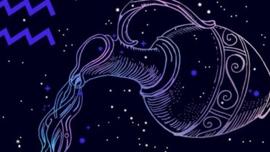 595839865520241226010738738