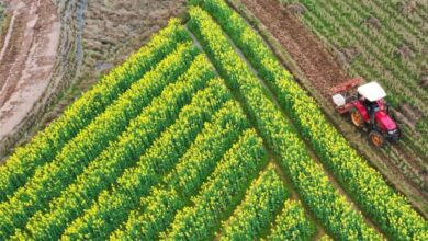 634347832143202509090418151815