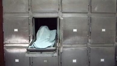 69218299318142025042406030131