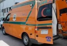 7011395793464202509130117111711