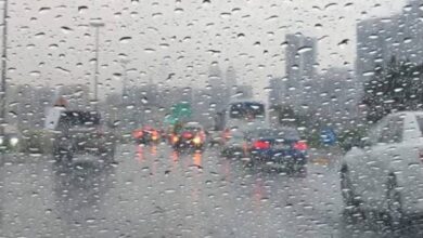 730770149900202509170456215621