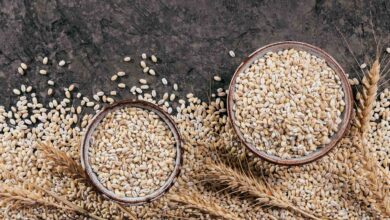 WHEAT HEALTH POST NEWS