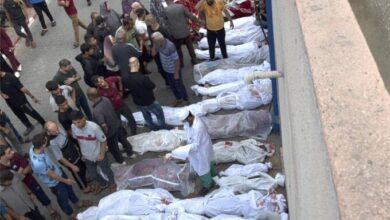 ارتفاع حصيلة العدوان الإسرائيلي على قطاع غزة إلى 69 ألفا و176 شهيدا 14 elaosboa28437