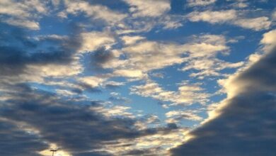 أمطار ورياح وبرودة.. «الأرصاد» تكشف عن حالة الطقس اليوم السبت 15 نوفمبر 2025 7 elaosboa40871 1