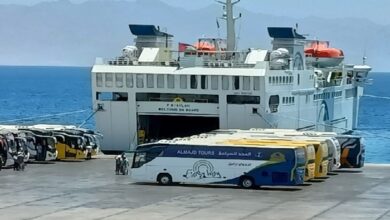 elaosboa65902