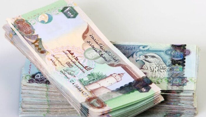 سعر الدرهم الإماراتي أمام الجنيه المصري اليوم الجمعة 19 سبتمبر 2025 1 elaosboa96425