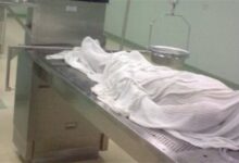 1760775687 elaosboa13296