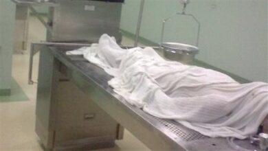 1760775687 elaosboa13296