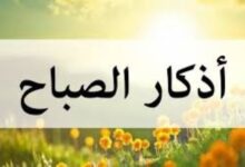 62652504035820251020040250250