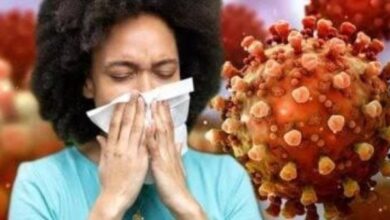 6271977767053202506100724362436