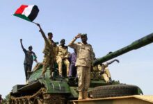 6371065426945202501130456455645