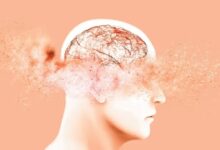 687552845087202506231037563756