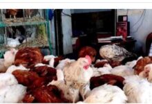 69920097559820251005010047047