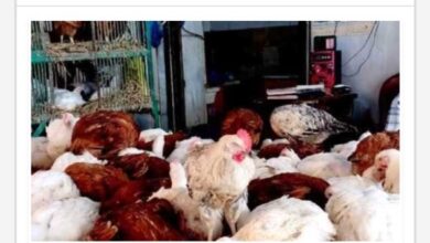 69920097559820251005010047047