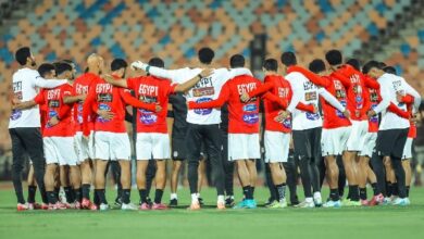 705175766859520251012122109219