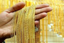 730770149900202510010623252325