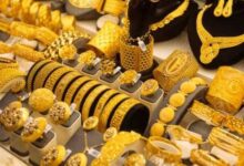 730770149900202510150815201520