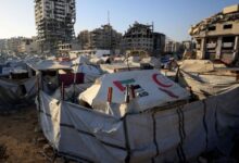 7691773856806202510260535283528