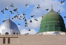 787848466396202508300951155115