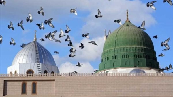 ليلة النصف من شعبان تتنزل الرحمة ويُغفر للعباد إلا اثنين 1 787848466396202508300951155115