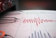 835101665063620251022023200320