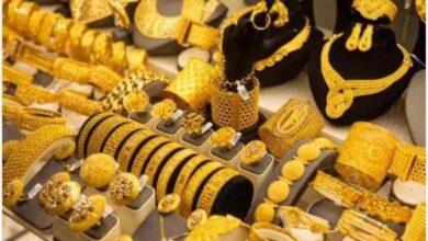 8351016650636202510220842364236