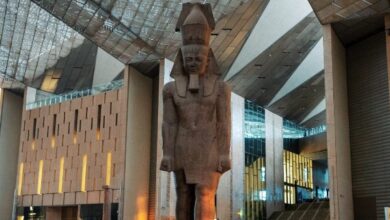 ماذا بعد افتتاح المتحف المصري الكبير.. انتعاشة كبرى لقطاع السياحة.. فيديو 6 8351016650636202510290224282428