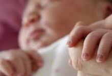 86864922101202503170727392739