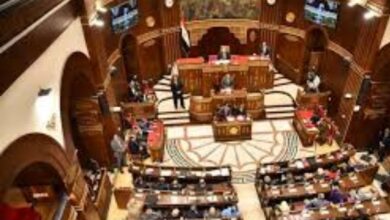 8686492210120250718042703273