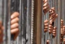 86864922101202510280322442244