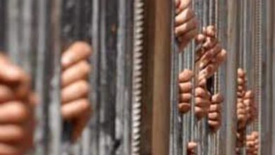 86864922101202510280322442244