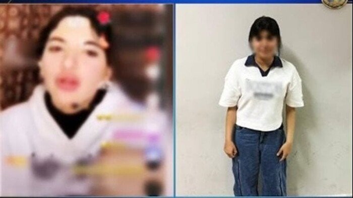 النيابة تطالب بأقصى العقوبات ضد سوزي الأردنية بسبب فيديوهات خادشة 1 elaosboa21076