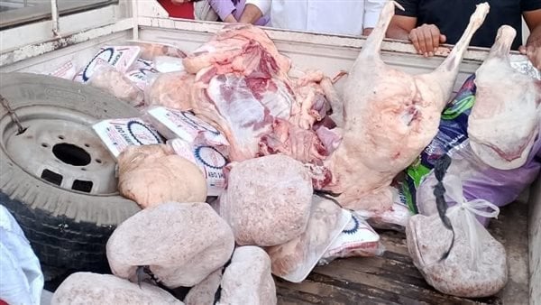 حملة لضبط اللحوم المذبوحة خارج المجازر في المنوفية --- 1 elaosboa76254