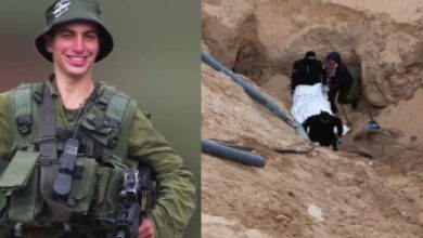 1762687767 elaosboa21659