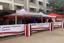 1762780166 elaosboa05268