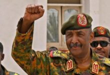 1763028764 elaosboa48962