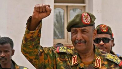 1763028764 elaosboa48962