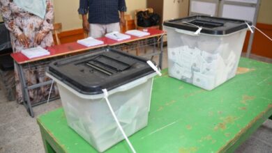 1763043146 elaosboa49063