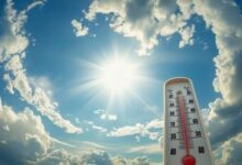 1763065408 elaosboa41703