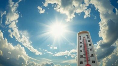 الأرصاد: غدًا طقس معتدل نهارًا مائل للبرودة ليلًا على معظم الأنحاء 5 1763065408 elaosboa41703