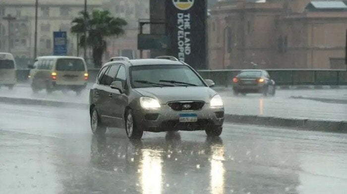 1763114307 elaosboa78651